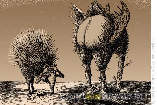 Карикатура: Страус и еж, Туровская Марина