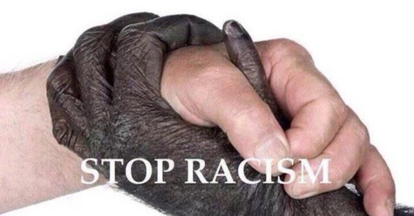 Мем: Остановите расизм. Обезьяны - тоже люди!