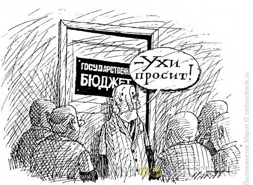 Карикатура: Бюджет, Валиахметов Марат