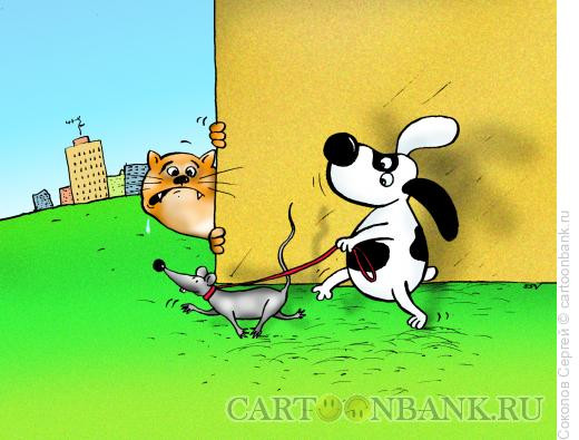 Карикатура: собака выгуливает мышку, Соколов Сергей