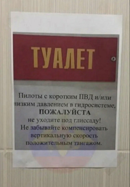 Мем: Служебный туалет в аэропорту, Дмитрий Анатольевич