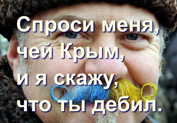 Мем: Спроси меня, чей Крым, и я скажу, что ты дебил., Ксюн