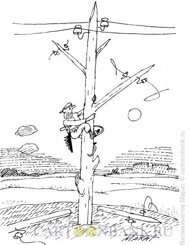 Карикатура: Проросший столб, Валиахметов Марат