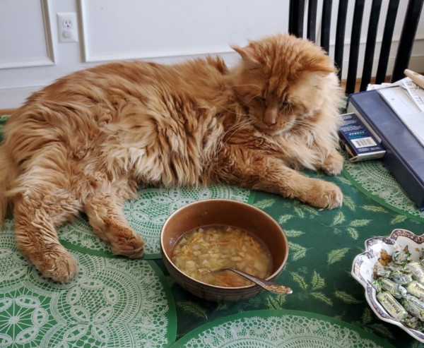 Мем: Суп с котом, Vladimir Sidorov