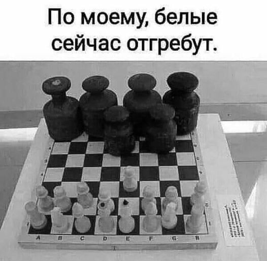 Мем: Сумоисты против шахматистов. Исход предрешён., aed65