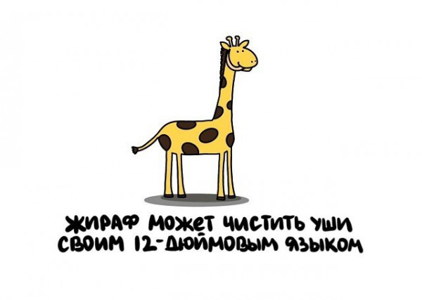 Мем: Жираф-то умеет ), Брюттон