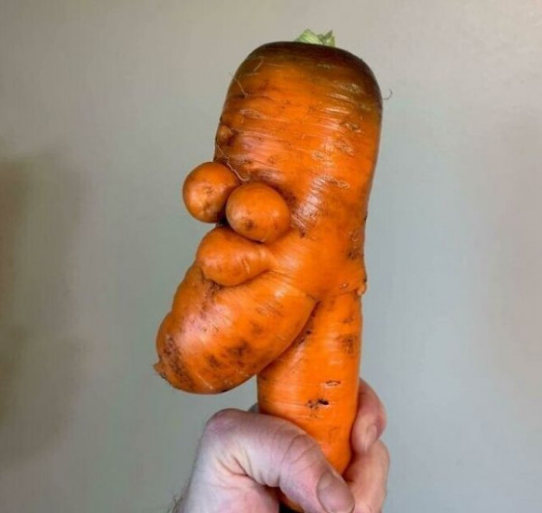 Мем: Просто морковка, Брюттон