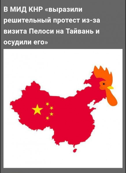 Мем: Последнее китайское предупреждение, птица