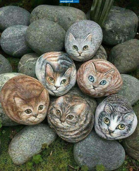 Мем: Кошачий сад камней, Аскольд Алебастров