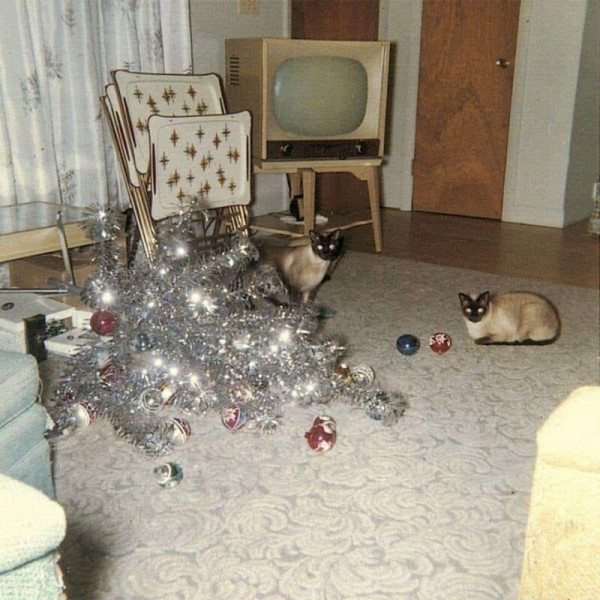 Мем: Кошки и новогодняя ёлка, 1959 год, Леонид Хлыновский