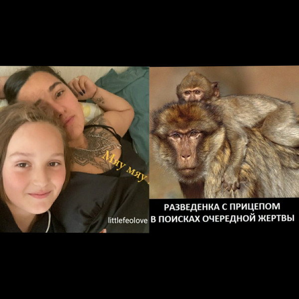 Мем: РСП, Nikolay G