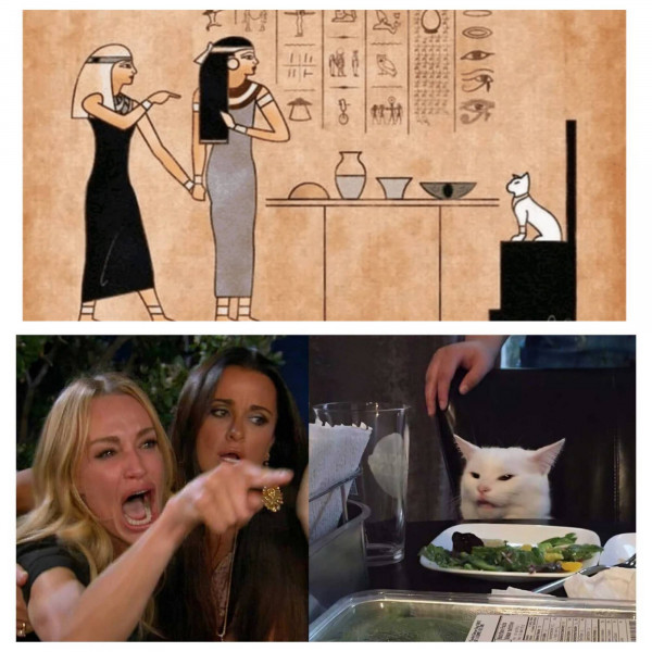 Мем: Девушки и кот начало, крошкаенот