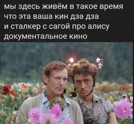 Мем, САНЬДА