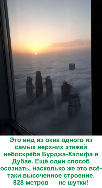 Мем, Тьмуша