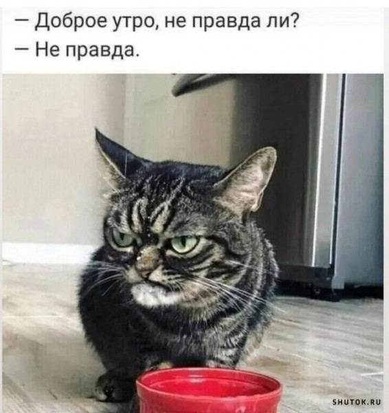 Мем, Джокер