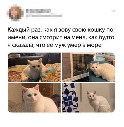 Мем, Микки Маус