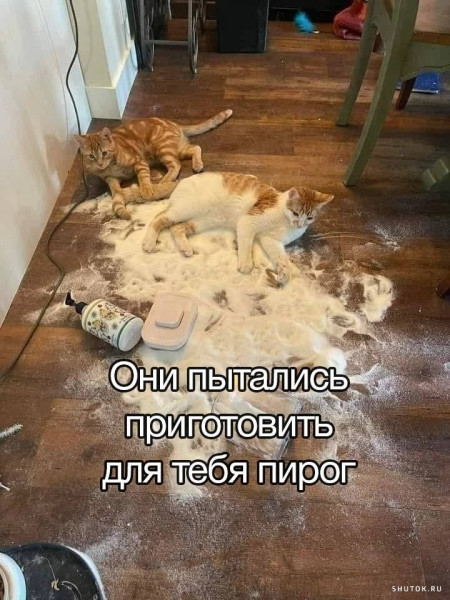 Мем, Джокер