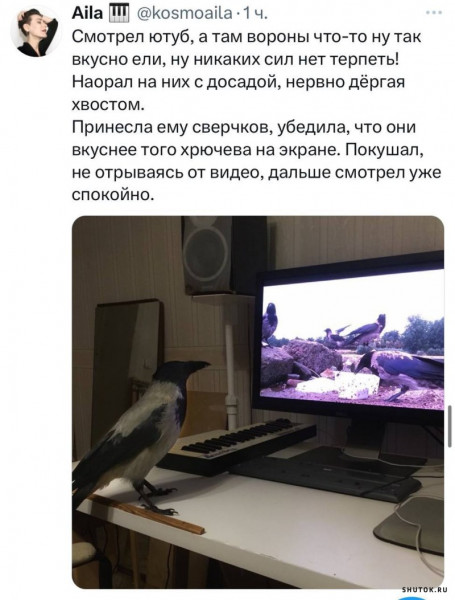 Мем, Джокер