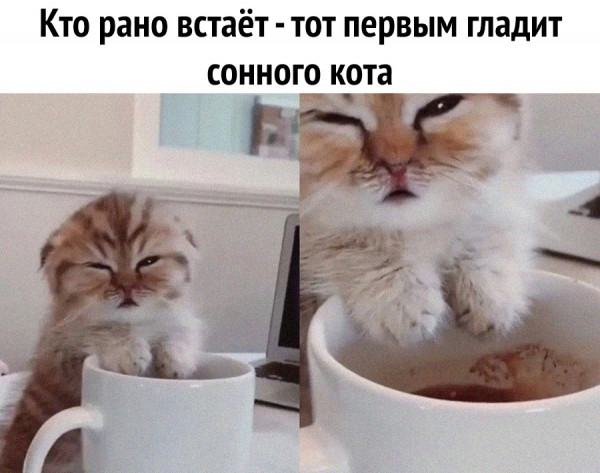 Мем, Микки Маус