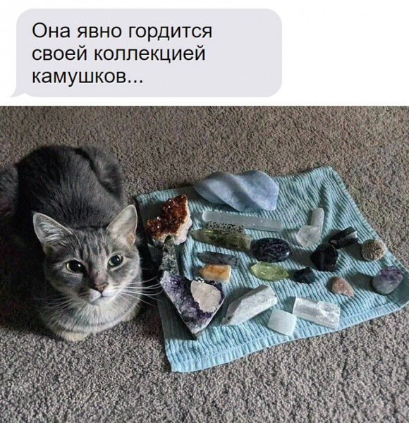 Мем, Микки Маус