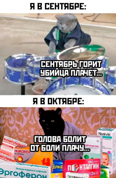 Мем, Микки Маус