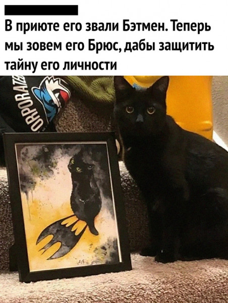 Мем, Микки Маус
