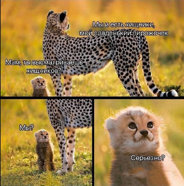Мем, Микки Маус