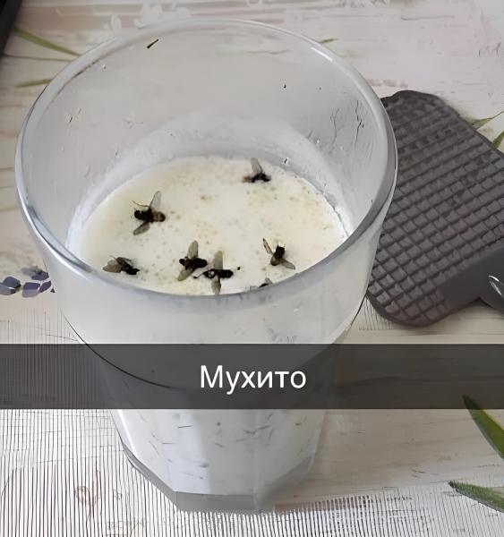 Мем: Коктейль «Мухито»., henh