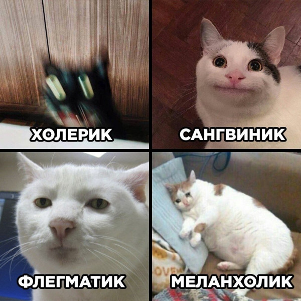 Мем, Микки Маус