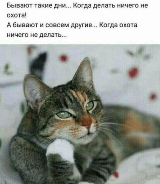 Мем