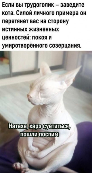 Мем, henh