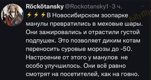 Мем, Максим Камерер