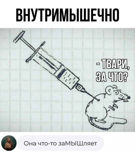 Мем, henh