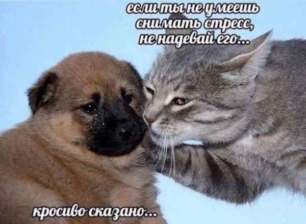 Мем, Леонид Хлыновский