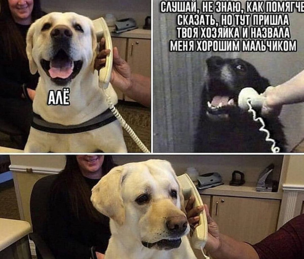 Мем, henh