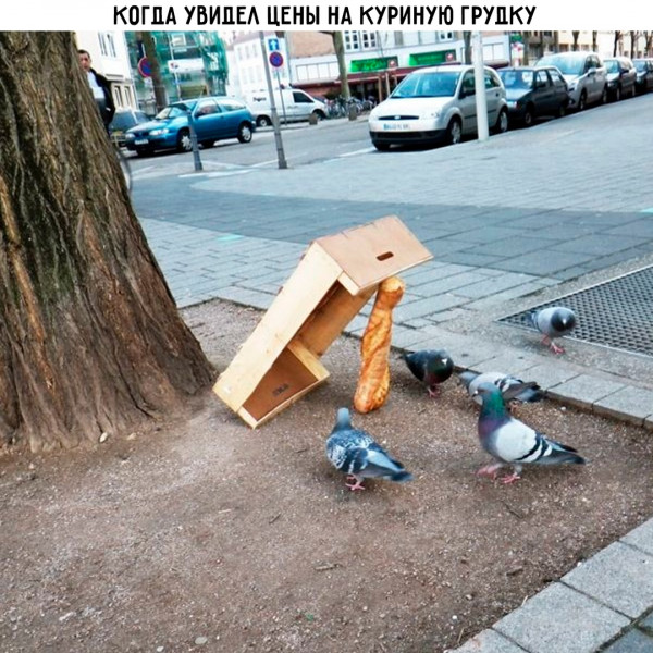 Мем, henh