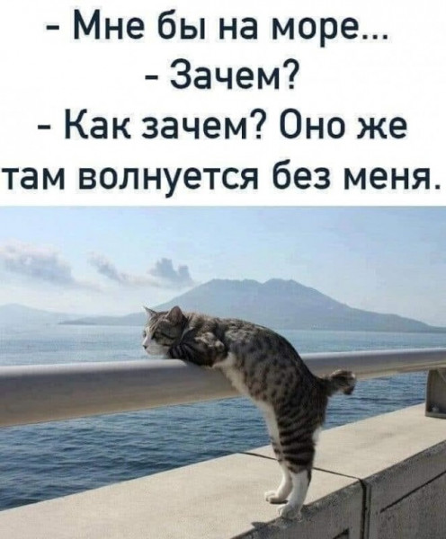 Мем, henh
