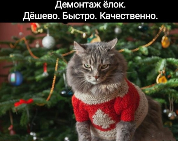 Мем, Рысь