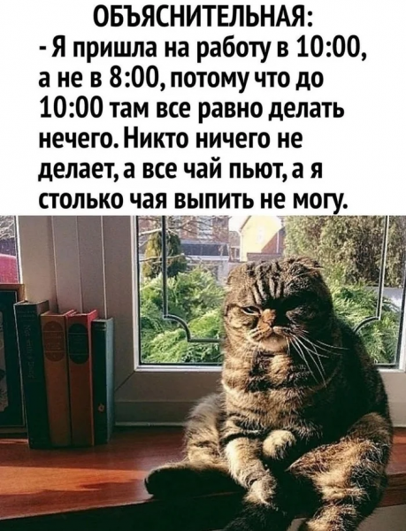 Мем, henh