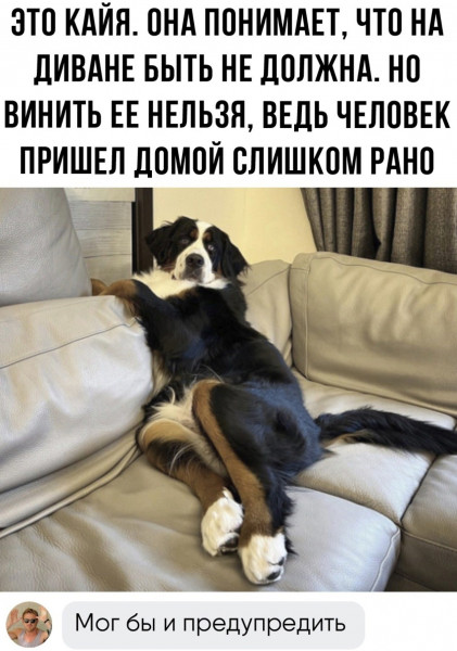 Мем, henh