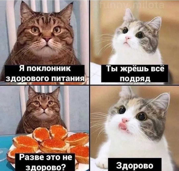 Мем, henh