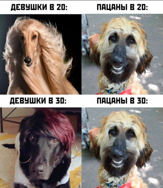 Мем, henh