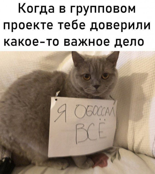 Мем, henh