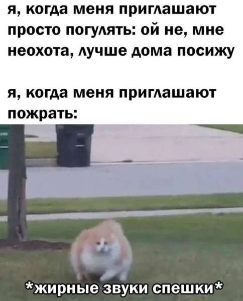 Мем, henh