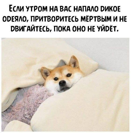Мем, henh