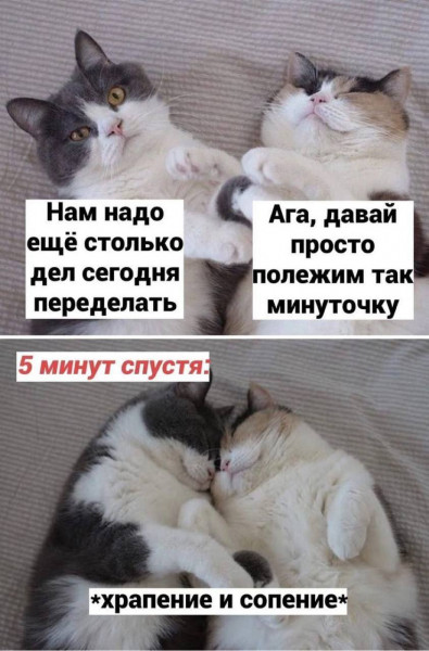 Мем, henh