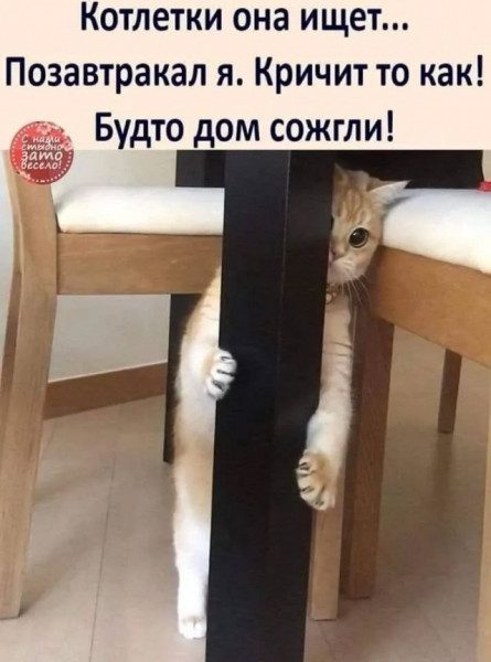 Мем