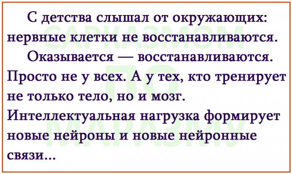 Мем, Александр САН