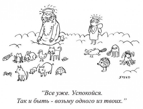 Мем, memw