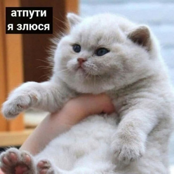 Мем, Mghost